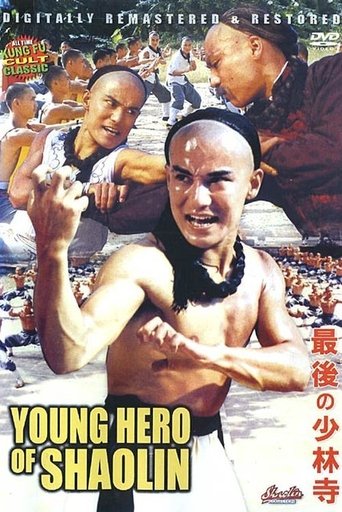 The Young Hero of Shaolin Poster of The Young Hero of Shaolin