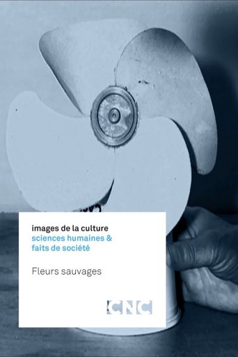 Fleurs sauvages Poster of Fleurs sauvages
