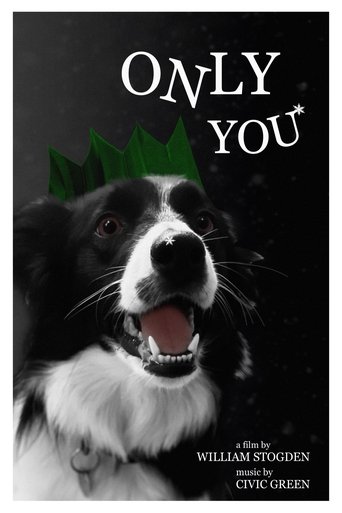 Poster of Only You