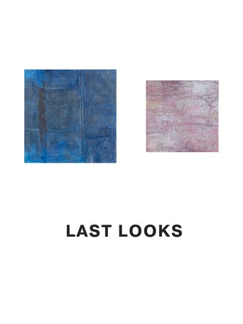 Poster of Last Looks