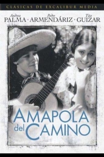 Poster of Amapola Del Camino