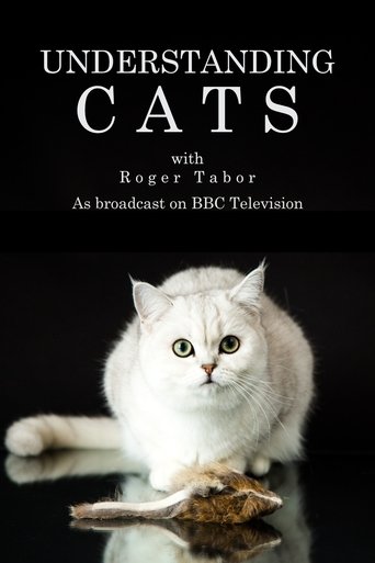 Understanding Cats Poster of Understanding Cats