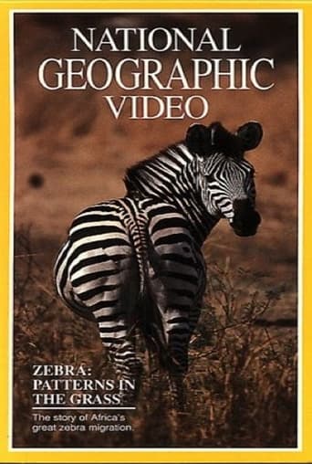 Poster of Zebras: Patterns in the Grass