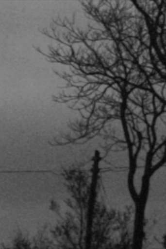 Notturno Poster of Notturno