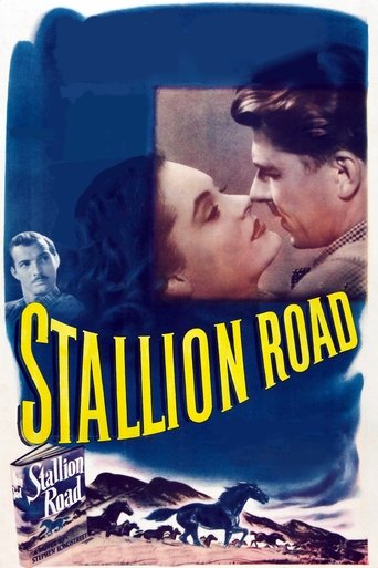 Stallion Road Poster of Stallion Road