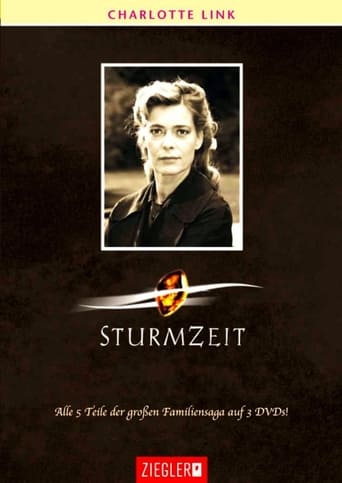 Poster of Sturmzeit