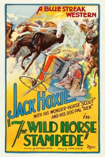 Poster of The Wild Horse Stampede