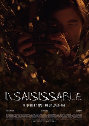 Poster of Insaisissable