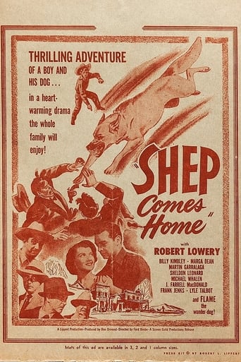 Poster of Shep Comes Home