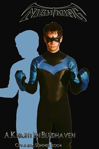 Poster of A Knight in Bludhaven