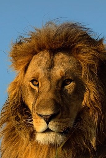Poster of Serengeti