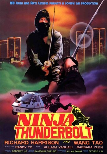 Poster of Ninja Thunderbolt