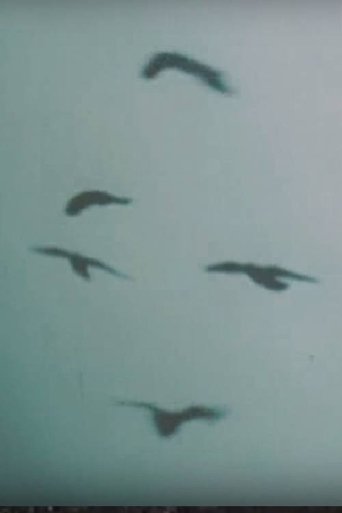 Poster of Bottomless