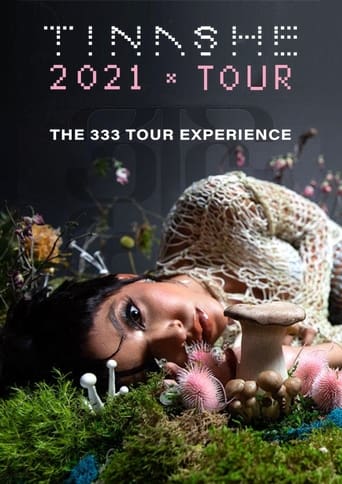 Poster of The 333 Tour Experience