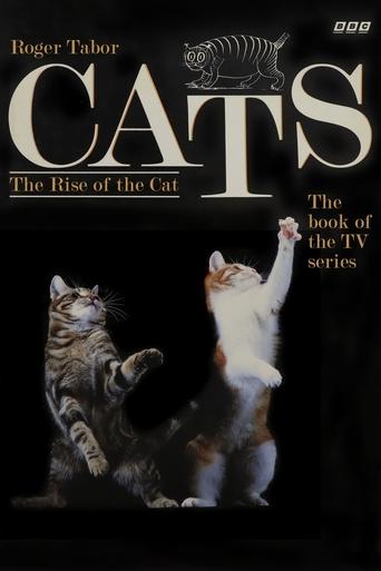 Cats Poster of Cats