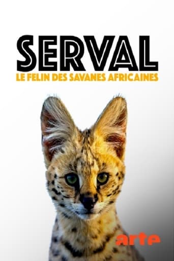 Poster of Servale - Afrikas unbekannte Katzen