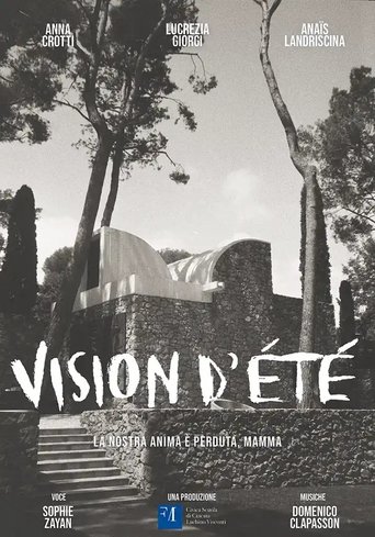 Poster of Vision d'été