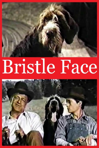 Poster of Bristle Face