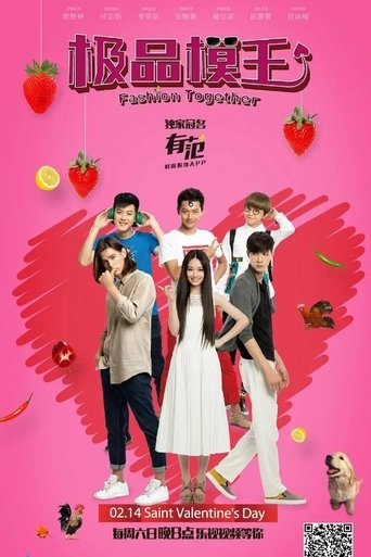 Poster of 极品模王