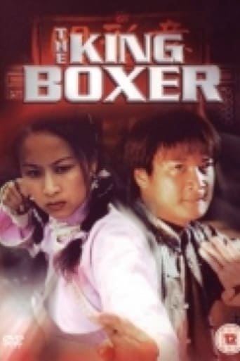 Poster of The King Boxer