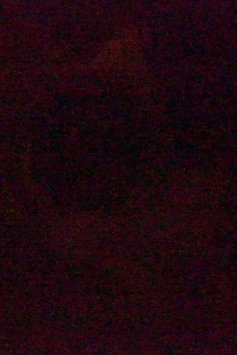 Poster of A Sentimental Piece in High ISO