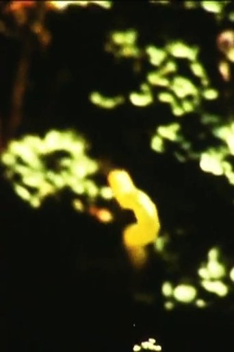 Caterpillar Poster of Caterpillar