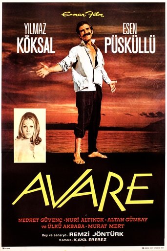 Poster of Avare