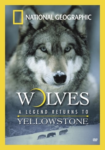 Poster of Wolves: A Legend Returns to Yellowstone