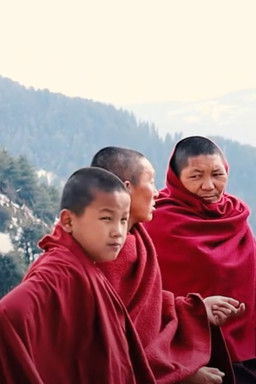 Poster of Period: A State of Purity