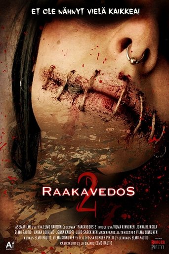 Poster of A Rough Cut 2