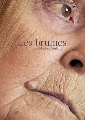 Poster of Les brumes