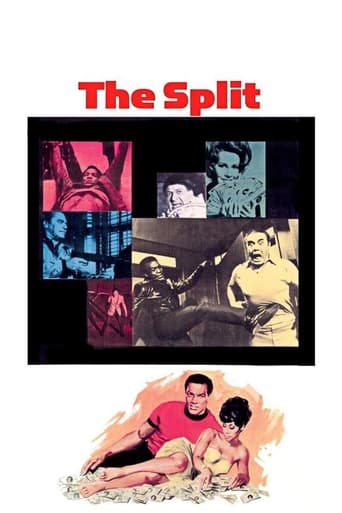 Poster of The Split