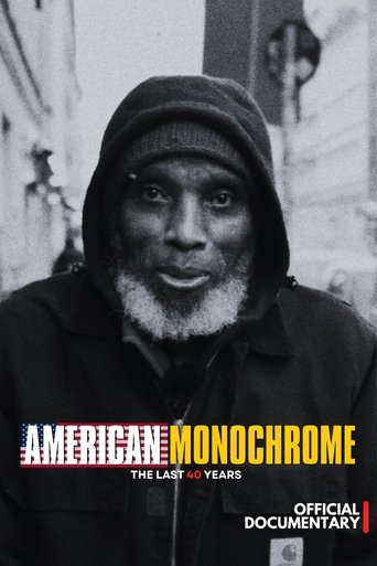 Poster of American Monochrome