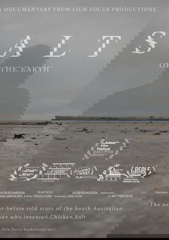 Poster of Salt of the Earth