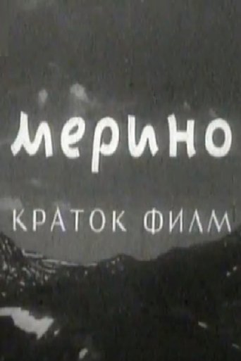 Poster of Merino