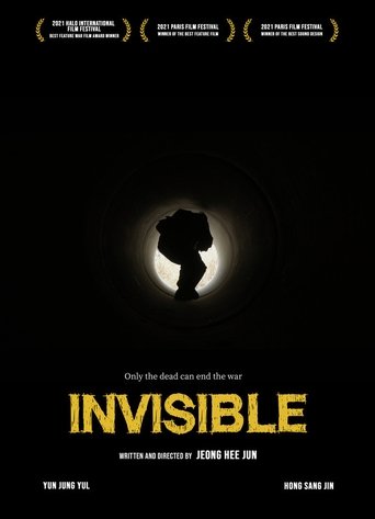Poster of Invisible
