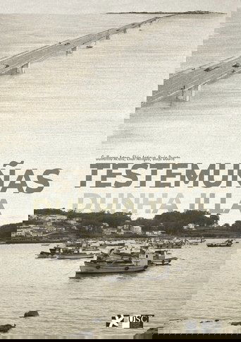 Poster of Testemuñas dunha illa