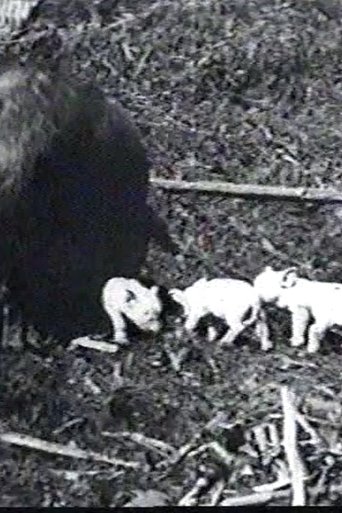 Poster of Mamma's Pets
