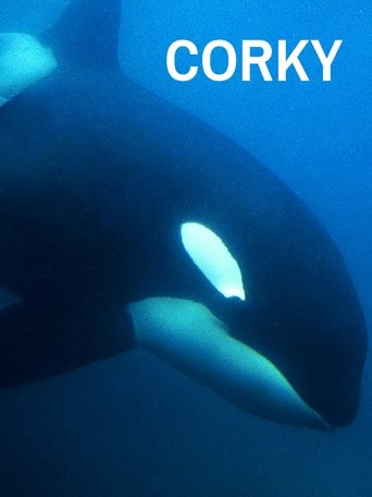 CORKY Poster of CORKY