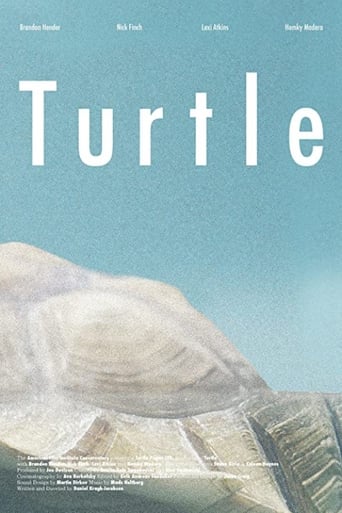 Poster of Turtle