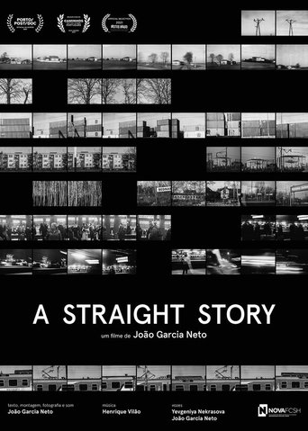 Poster of A Straight Story