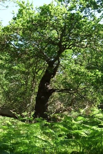 Poster of Arboreal
