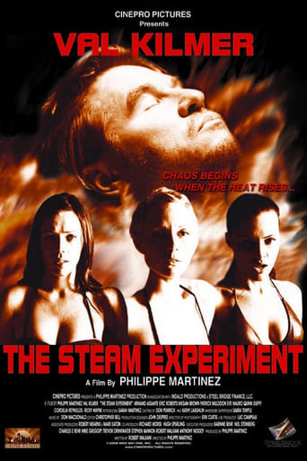 Poster of The Steam Experiment