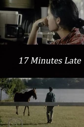 Poster of 17 Minutes Late