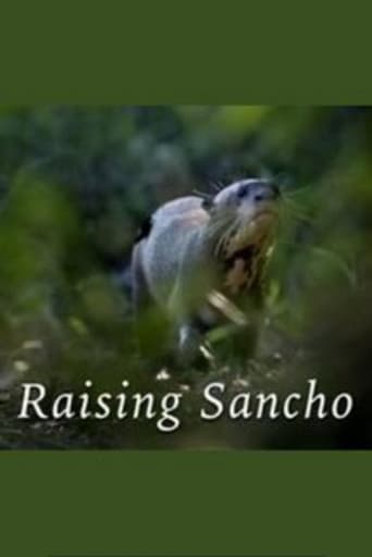 Poster of Raising Sancho