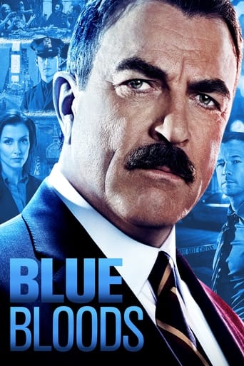 Portrait for Blue Bloods - Season 4