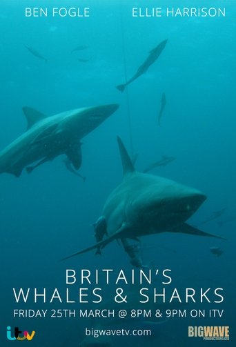 Britain's Whales and Sharks Poster of Britain's Whales and Sharks
