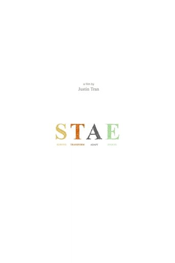 Poster of STAE