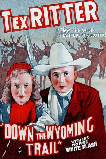 Poster of Down the Wyoming Trail