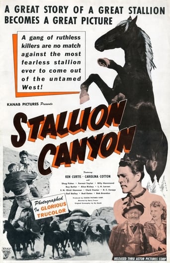Poster of Stallion Canyon